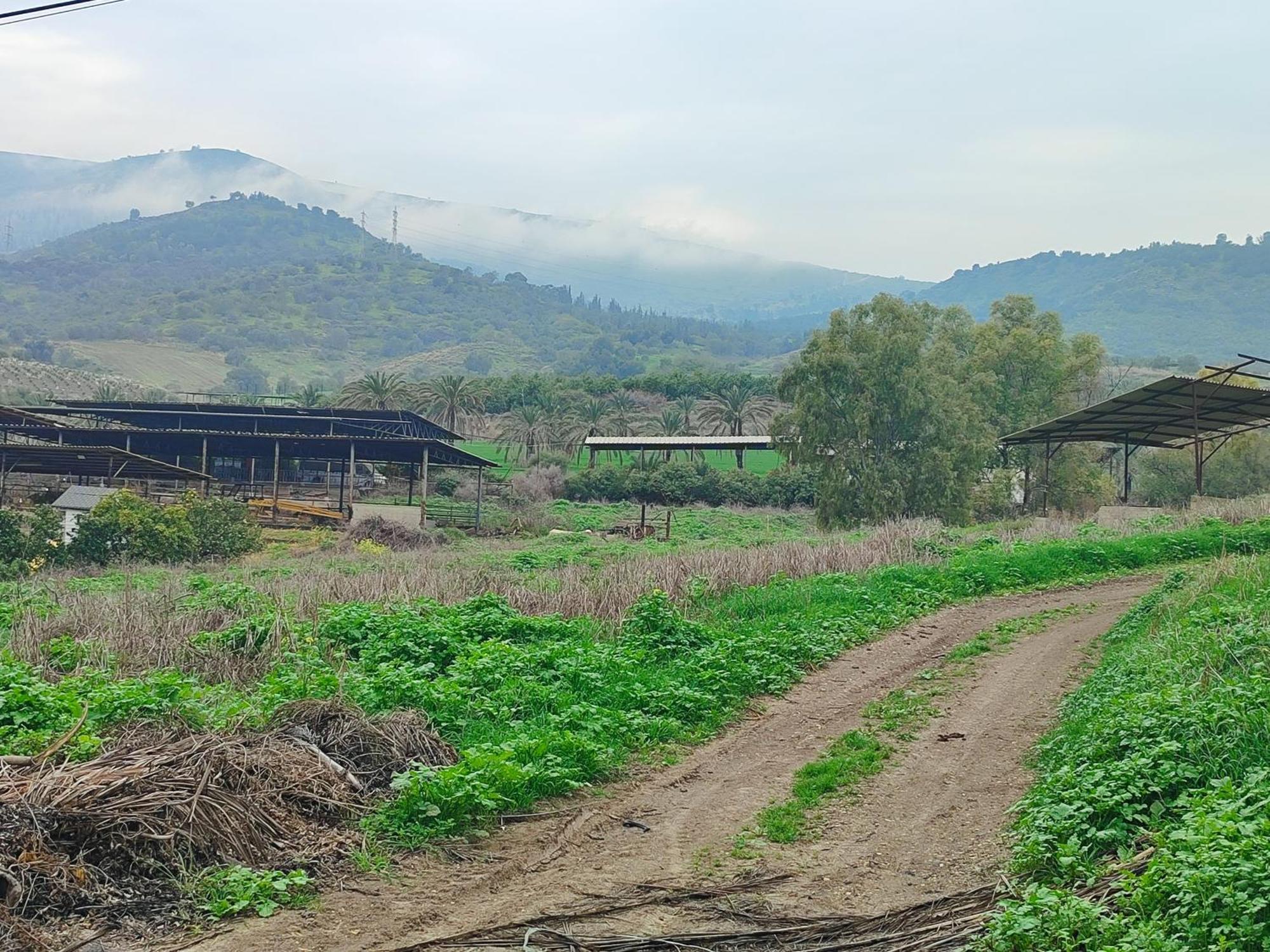 Family Cabin Menaẖemya Dış mekan fotoğraf
